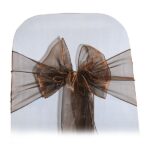 Organza Chair Tie